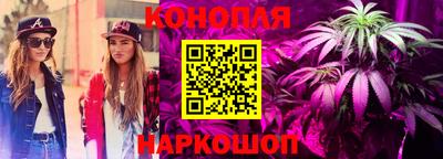 ПСИЛОЦИБИНОВЫЕ ГРИБЫ Камышлов