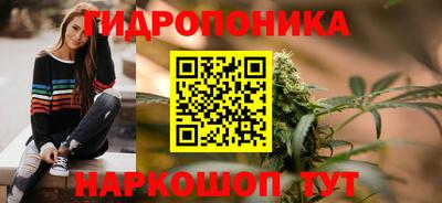 ПСИЛОЦИБИНОВЫЕ ГРИБЫ Камышлов
