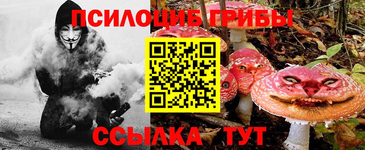 Псилоцибиновые грибы Cubensis  Краснотурьинск 