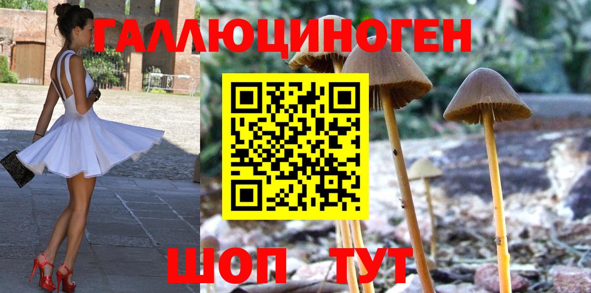 Псилоцибиновые грибы Magic Shrooms Краснотурьинск